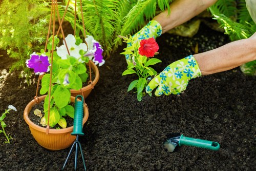 Accepted card and digital payment methods for landscaping services