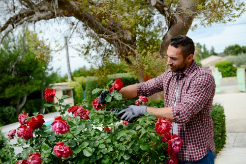 Landscaping services terms and conditions overview
