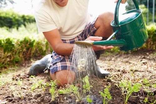 Low-maintenance artificial lawn for a Knightsbridge home garden