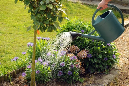 Screen-reader friendly landscaping information for Knightsbridge