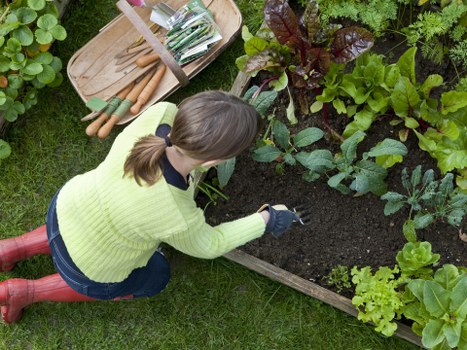 Tailored planting and paving design for a Knightsbridge garden