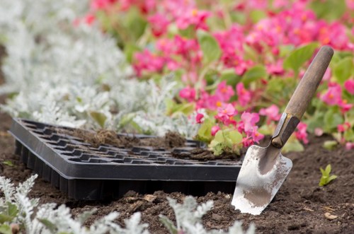 Commercial soft landscaping for a Knightsbridge property entrance