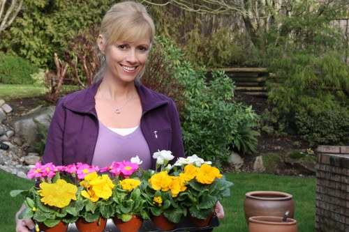 Professional garden makeover work in a Knightsbridge courtyard setting