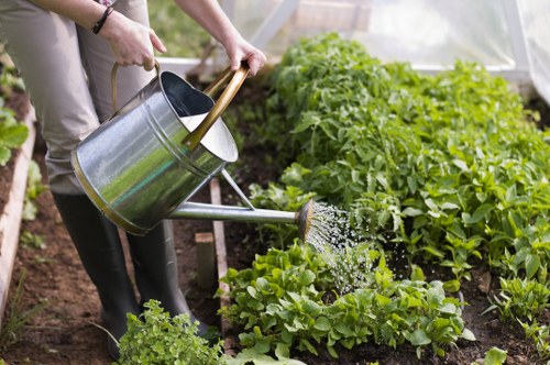 Safety review and planning for landscaping tasks
